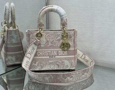 DIOR Handbags 579